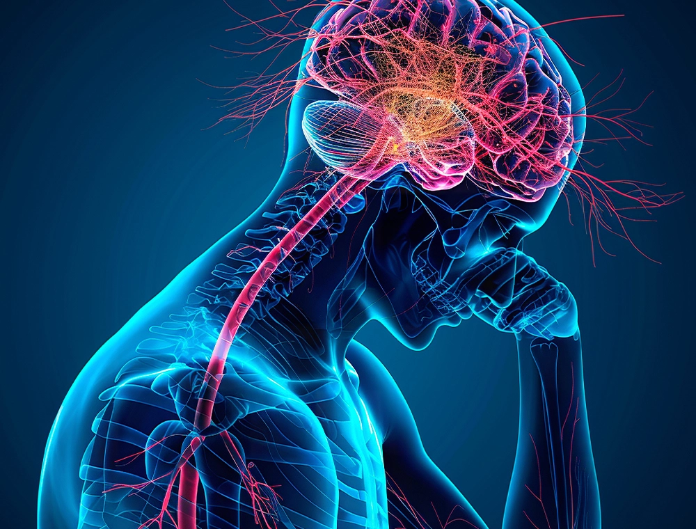 SynaBoost Nerve Support Formula